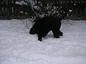 Bild 396